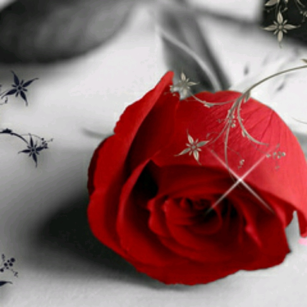 Meet your Posher, Shelly